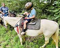 champagne-trail-horse