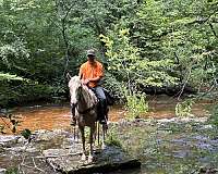 trail-mare