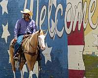 ranch-paint-horse