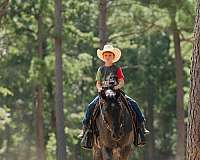 roping-quarter-horse