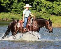 ranch-versatility-quarter-horse