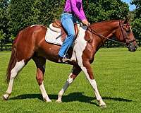 jumping-paint-pony