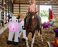 ridden-western-paint-pony