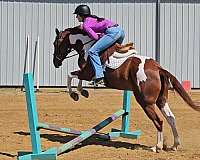 kid-safe-paint-pony