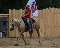 ranch-work-quarter-horse