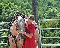 roping-quarter-horse