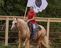 trail-riding-quarter-horse