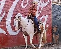 athletic-paint-horse