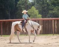 kid-safe-paint-horse
