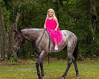 roping-quarter-horse