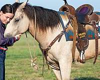 cross-draft-horse