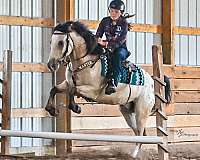 kid-safe-draft-horse