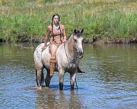 ranch-versatility-draft-horse