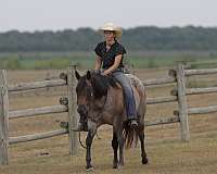 roping-quarter-horse