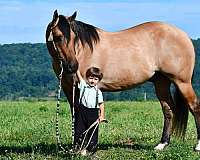 ranch-versatility-quarter-horse