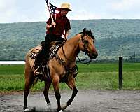 youth-quarter-horse