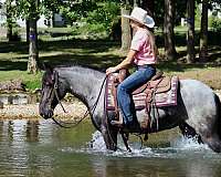 athletic-pony
