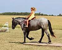 cross-pony