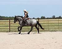 ridden-western-pony