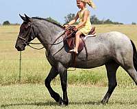 trail-pony