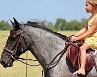 youth-pony