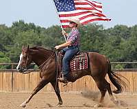 reining-quarter-horse