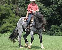athletic-draft-pony