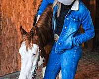 roping-quarter-horse