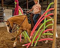 ranch-work-quarter-horse