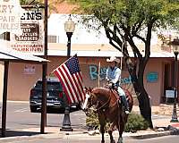 kid-safe-quarter-horse