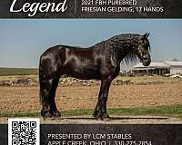 dillbert-funn-whirlwind-horse