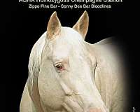 breeding-quarter-horse