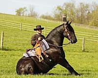 jumping-draft-horse