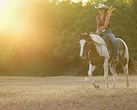 husband-safe-paint-horse