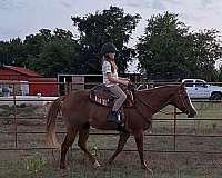 ridden-western-pony