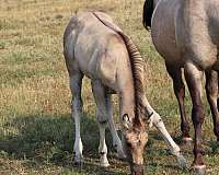 ben-mark-mare