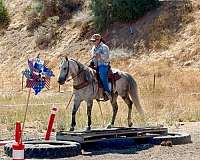 ranch-work-quarter-horse