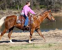 ranch-versatility-quarter-horse