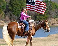 ranch-work-quarter-horse