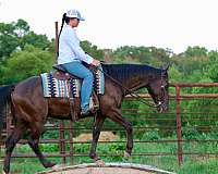 jumping-quarter-horse