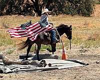 kid-safe-quarter-horse