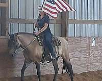 dunskin-all-around-pony