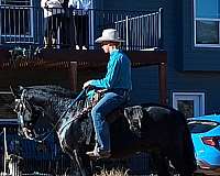 trail-riding