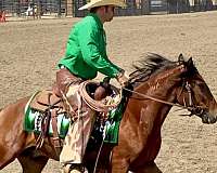 facebook-mustang-horse