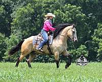 husband-safe-draft-horse