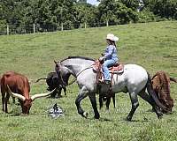 family-horse-quarter
