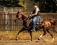 character-morgan-horse