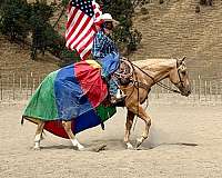 kid-safe-quarter-horse