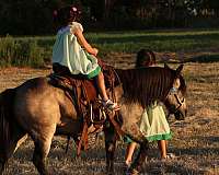 ranch-versatility-pony