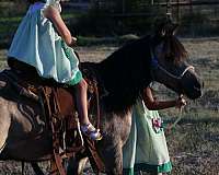 ridden-western-pony